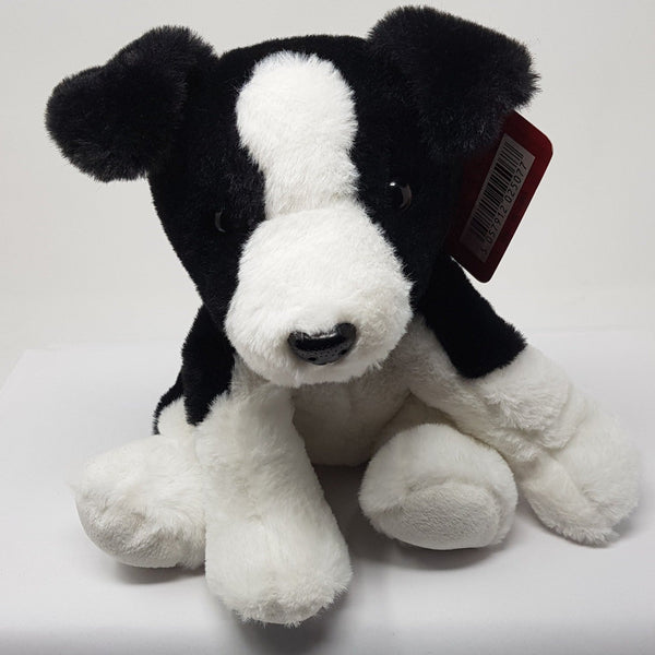 Black and best sale white dog teddy