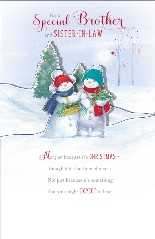 Special Brother And Sister In Law Christmas Card