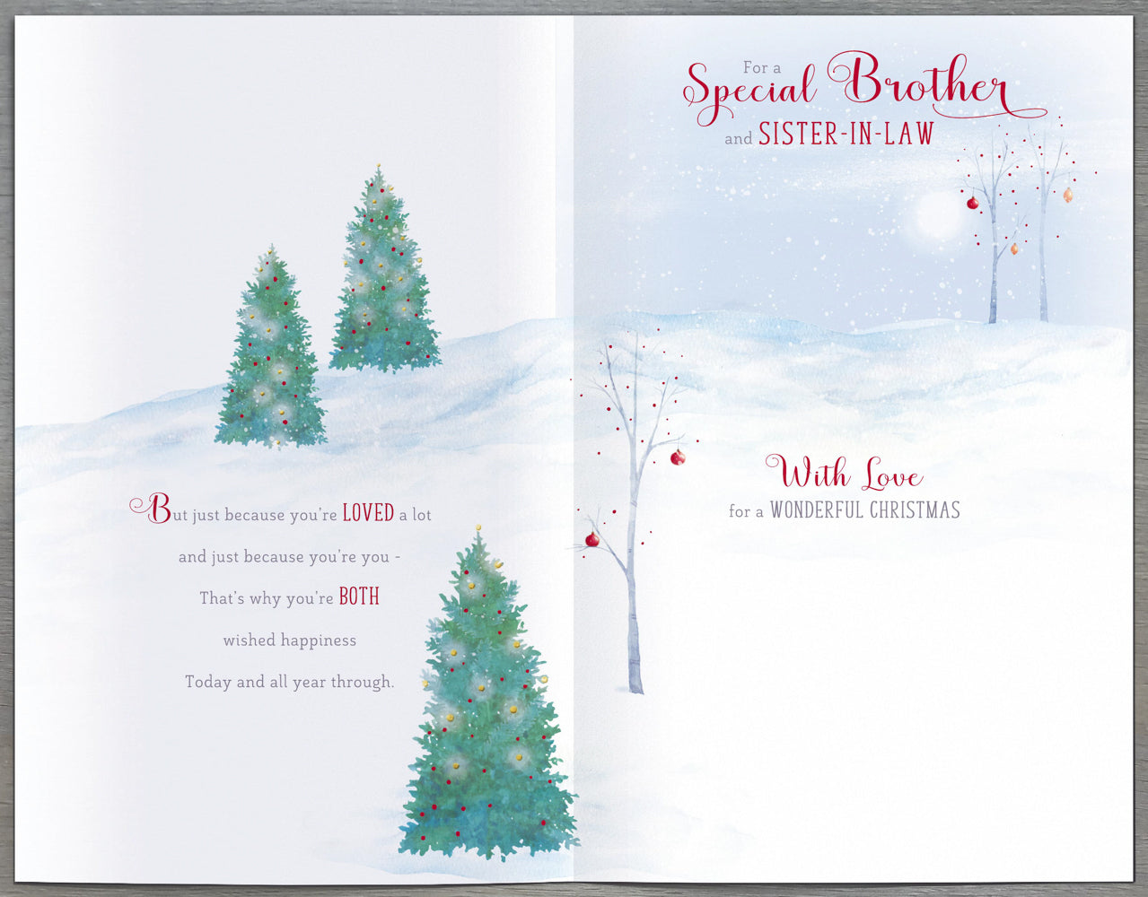 Special Brother And Sister In Law Christmas Card