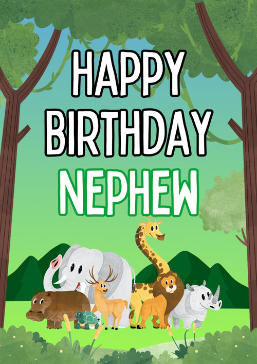 Nephew Birthday Card Personalisation