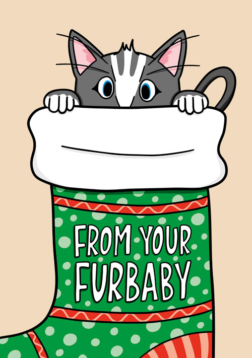 Pet Cat Christmas Card Personalisation