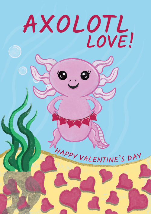 Funny Valentines Day Card Personalisation