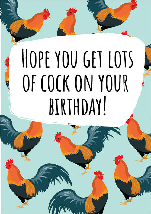 Humour Birthday Card Personalisation